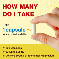 GMP compliant manufacturing facility