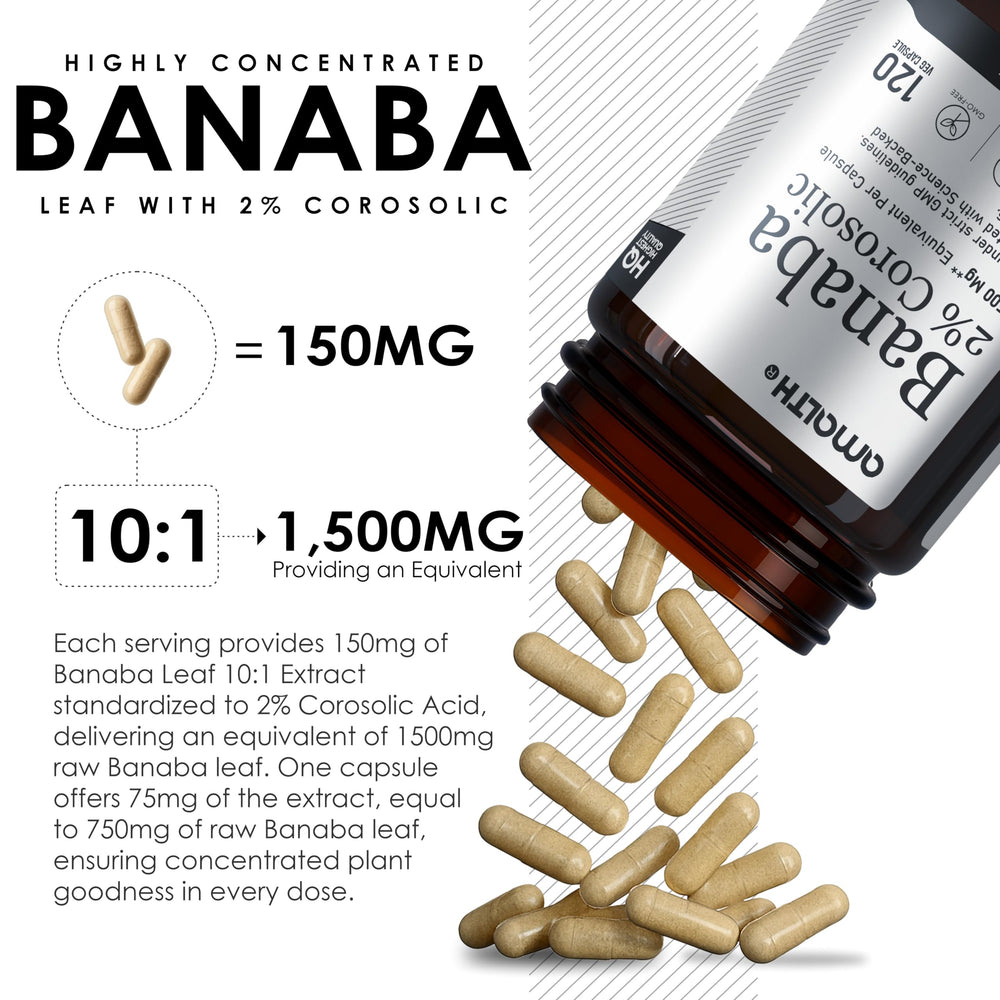 GMP-certified manufacturing process for Banaba leaf capsules