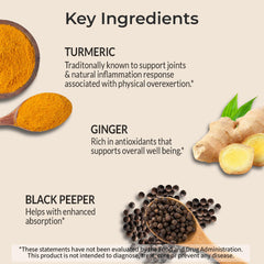 GMP manufacturing facility showcasing quality controls