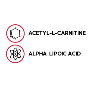Nutrition facts panel for GNC Acetyl-L-Carnitine Alpha-Lipoic Acid 500mg