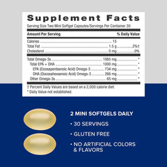 Wild caught deep ocean fish illustration