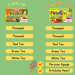 GN+Vida Pinalim Plus pineapple infusion supports gentle digestion and antioxidants.