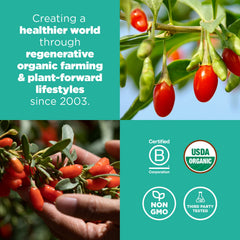 Goji berries with oatmeal