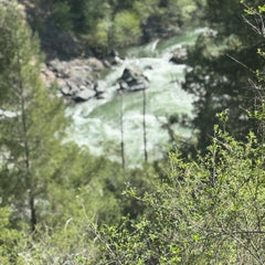 Close-up of gold particles in paydirt