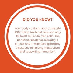 GoLive supports gut health, digestion, metabolism and immunity