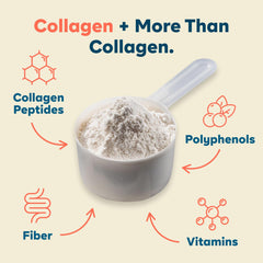Vitamins, polyphenols, and fiber alongside SUPR Collagen Powder