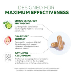 Grape Seed Extract Enovita PACs 95% for cholesterol support