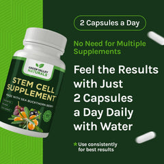 Grape seed extract capsules