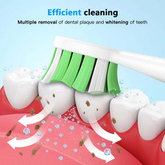 W-shaped Grasnugie replacement heads fitting Philips Sonicare to reach hard-to-clean areas