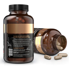 Grass-fed beef pancreas organ supplement