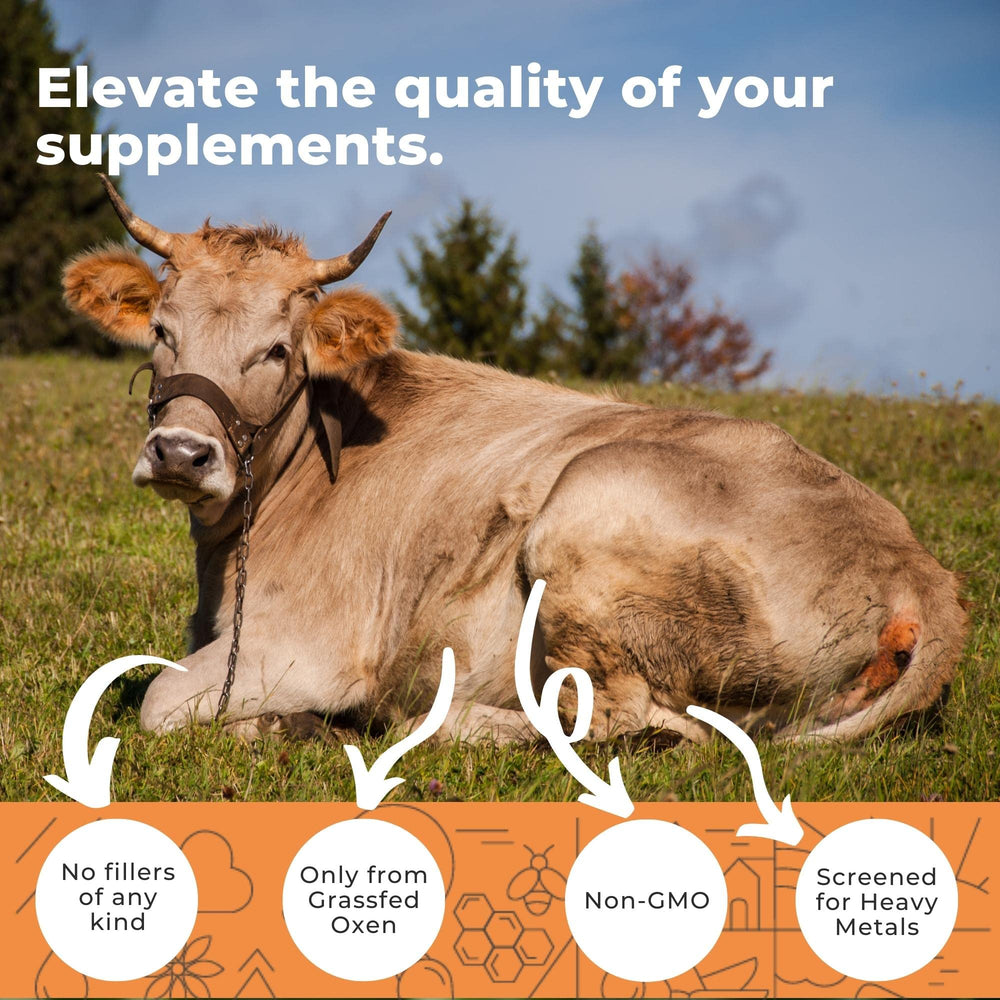 Close-up of Ox Bile Capsules for digestive health