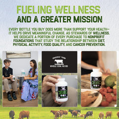 Carnivore, keto, and paleo friendly beef organ supplement