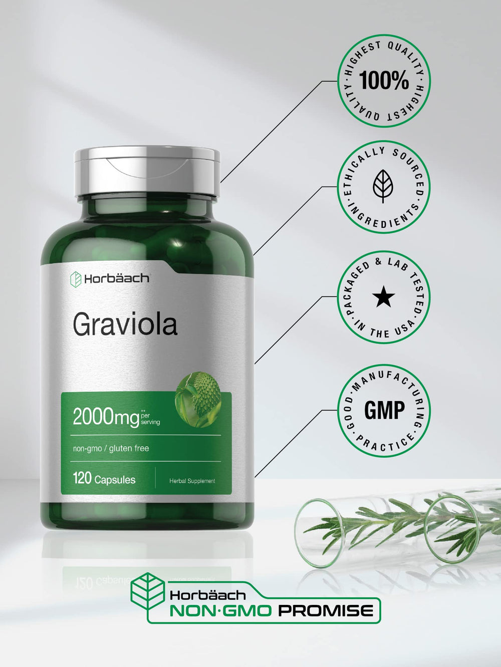 Illustration of the Graviola proprietary blend ingredients