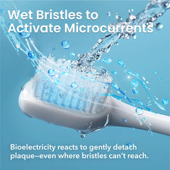 Rechargeable toothbrush kit with travel case