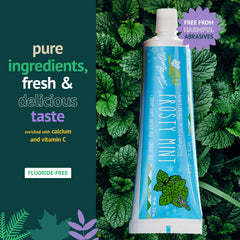 Zesty Orange flavor Green Beaver toothpaste packaging
