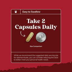 Front view of Green Coffee Bean Extract 90-count bottle
