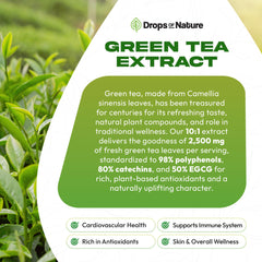Illustration of catechins and polyphenols in green tea