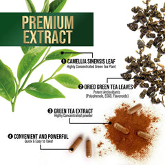Natural ingredients: vegetable cellulose capsule and vegan formula