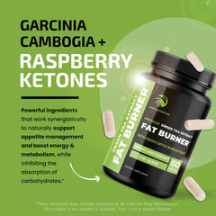 Green tea extract illustration representing metabolism