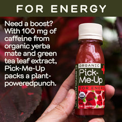 Close-up of yerba mate and green tea ingredients