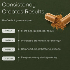 Fulvic acid minerals illustration accompanying shilajit