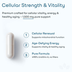 High-absorption mitoceutical complex diagram