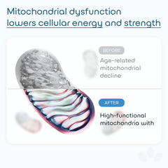 Gluten-free, non-GMO supplement bottle on white background