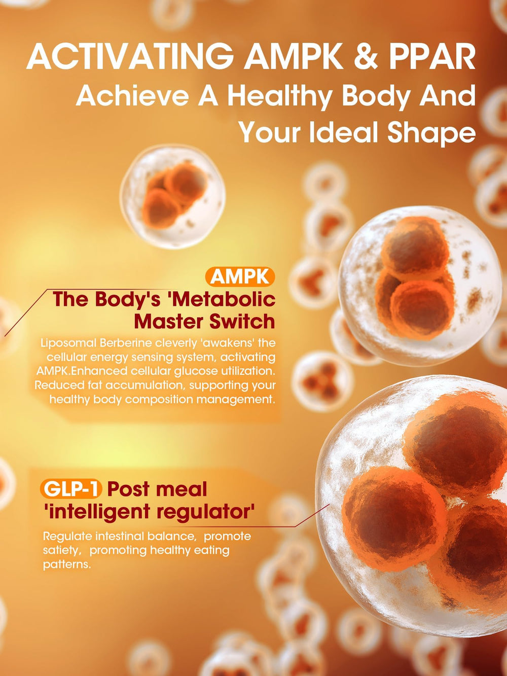 Berberine capsules with Ceylon cinnamon