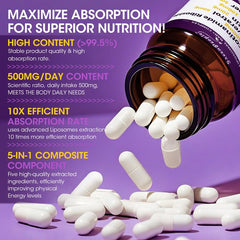 Close-up of 500mg Nicotinamide Riboside liposomal NR content