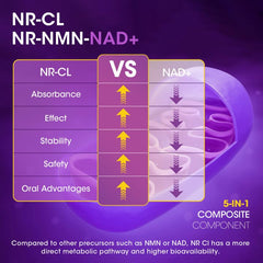 Graphic listing 5-in-1 formula benefits for NAD+ health
