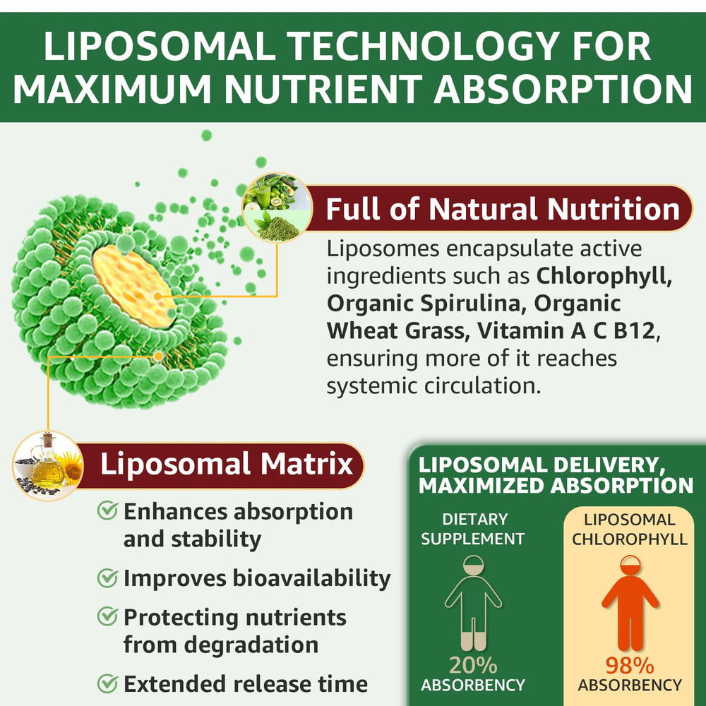 6-in-1 greens ingredients: chlorophyll spirulina wheat grass vitamins A C B12