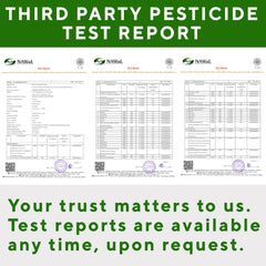 Raw Moringa leaves preparation for powder