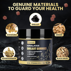 Grevol Himalayan Shilajit Gummies with Ashwagandha - ingredients layout