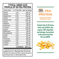 Growing Naturals raw pea protein scoop in a shaker bottle for protein-rich shakes.