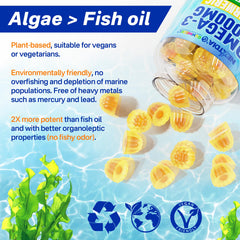 GummieJel 5x absorption technology cross-section