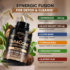 Graphic of healthy gut and digestion support