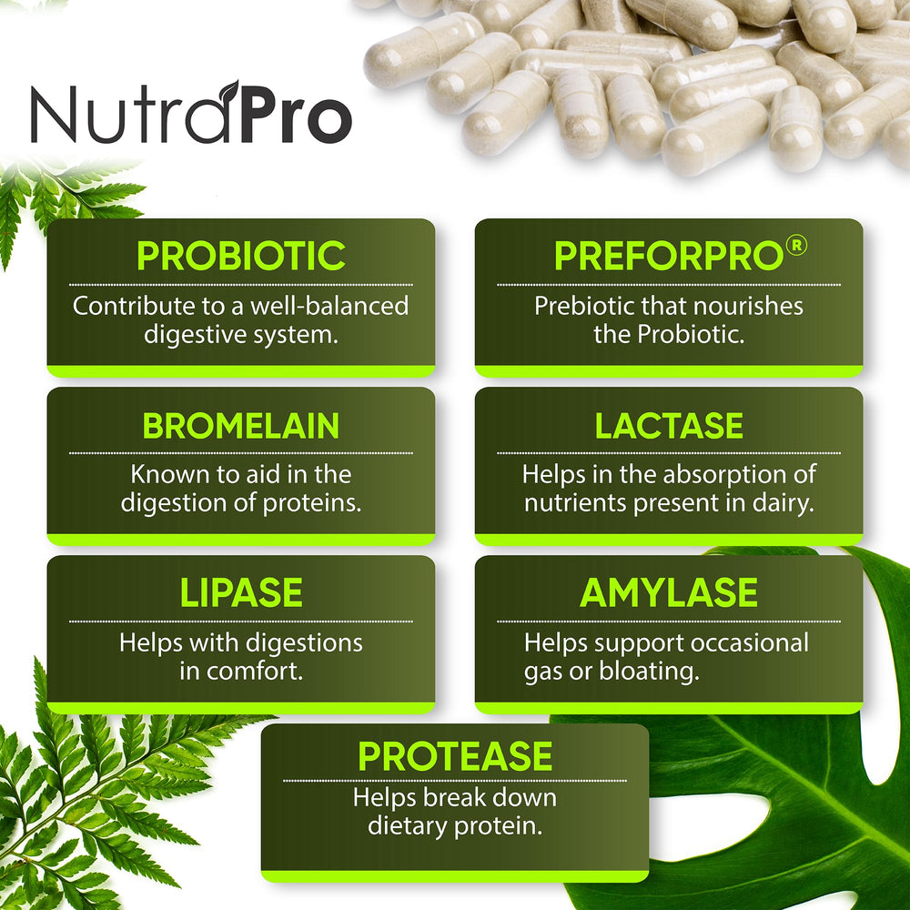 Gut health and immune support for occasional gas and discomfort