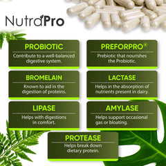 Gut health and immune support for occasional gas and discomfort