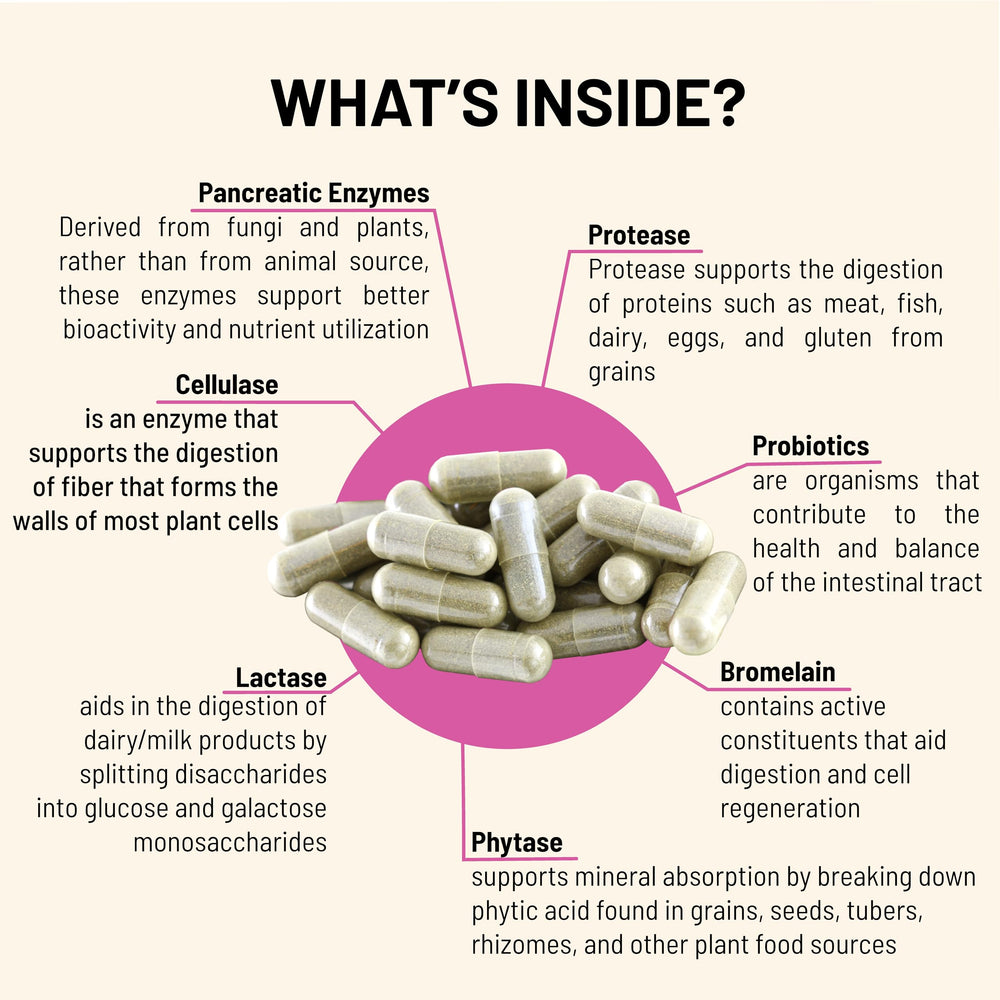 Infographic showing gut health and bloating relief