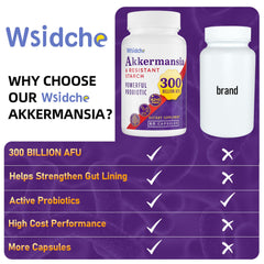 Digestive and gut health concept with Akkermansia illustration