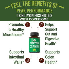 Gut health illustration featuring CoreBiome Tributyrin