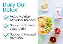 Gut health illustration showing probiotics and immune support