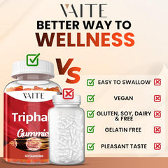 Illustration of gut health and immune support benefits