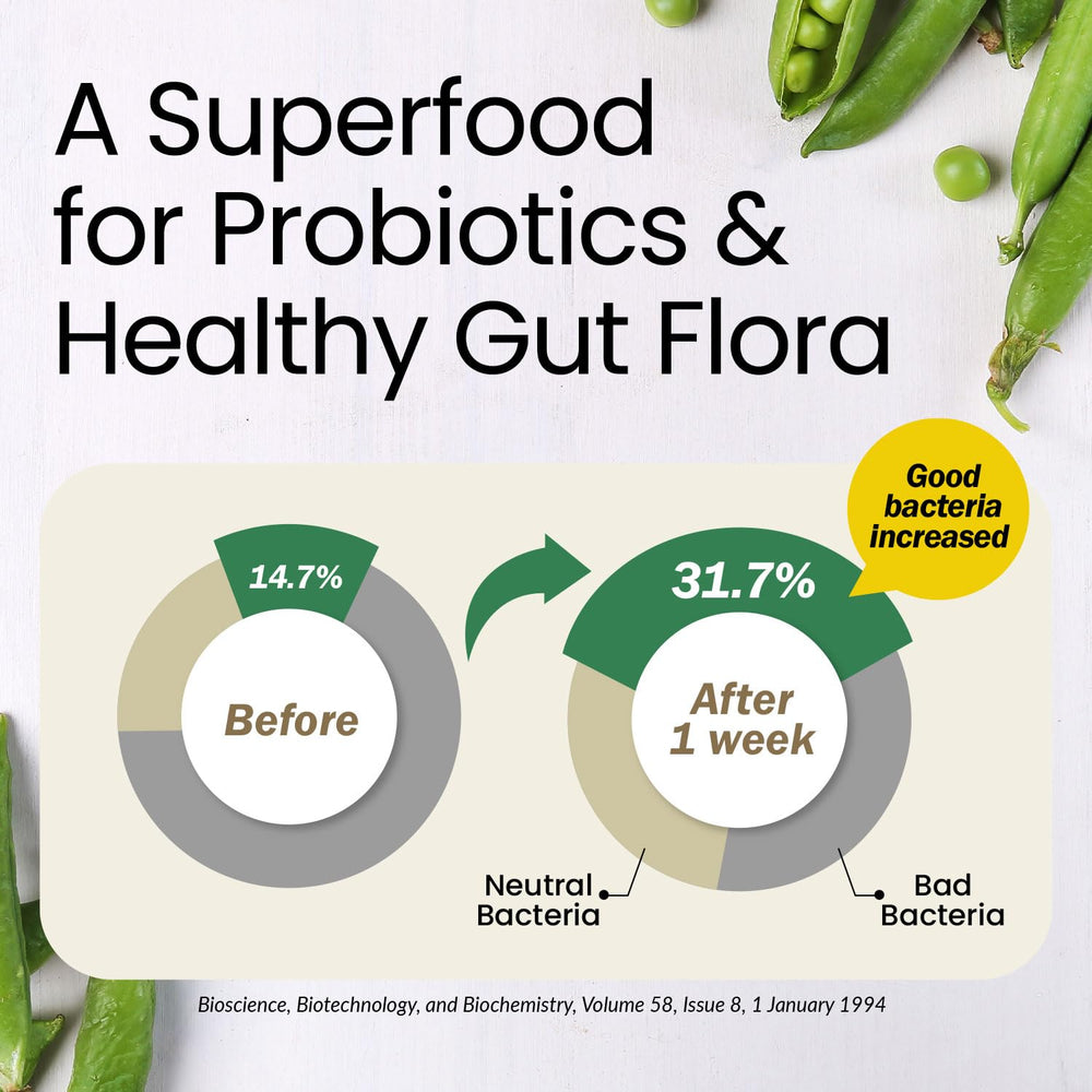 Gut health and microbiome balance graphic image