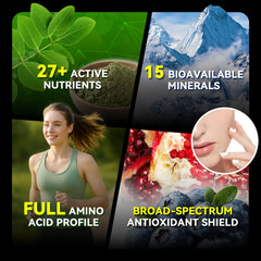Graphic representing gut health benefits of moringa