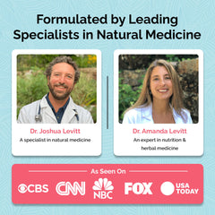 Graphic illustrating gut health and nutrient absorption supported by Total Revive+.