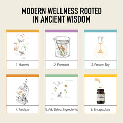 Lifestyle shot of probiotic supplement use