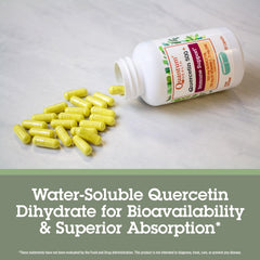 Gut health support ingredients visual