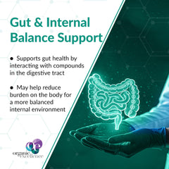 Illustration of gut health support with zeolite powder