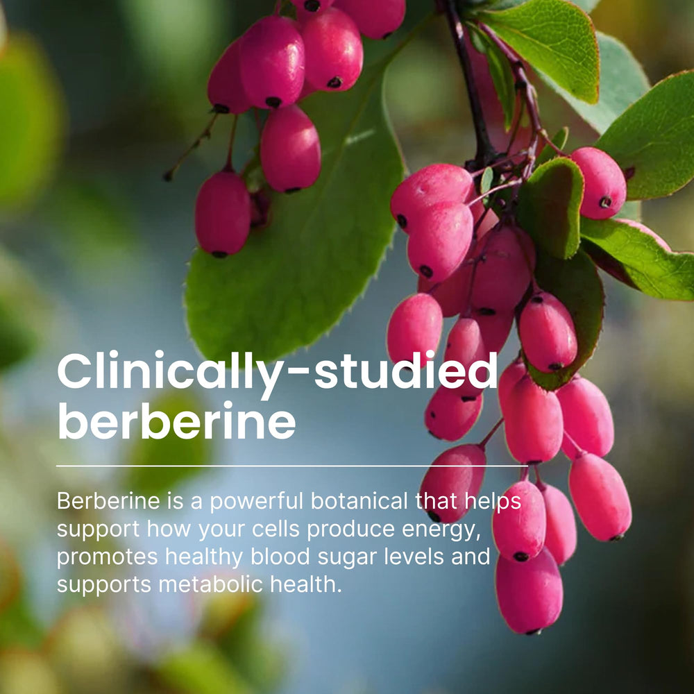 Phytosome delivery aiding gut tolerability and protection.